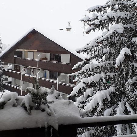 Apartment A'Horn Sankt Johann in Tirol Buitenkant foto